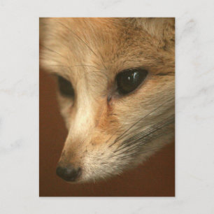 Plantilla vertical postal - Personalizada