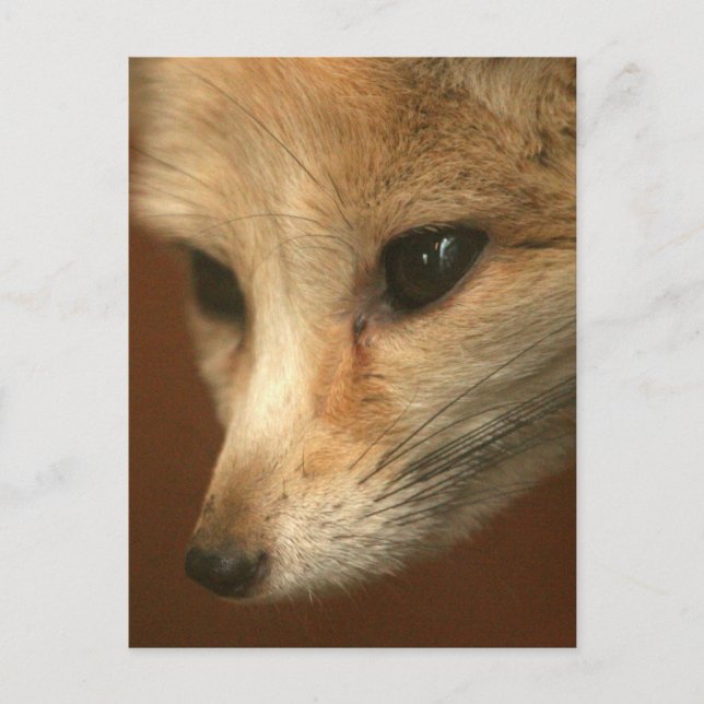 Plantilla vertical postal - Personalizada (Anverso)