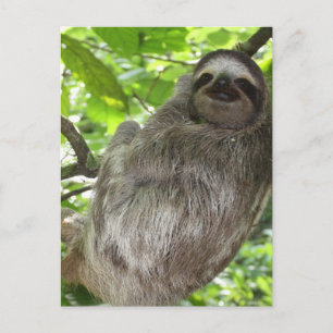 Plantilla vertical postal - Personalizada