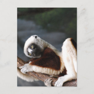 Plantilla vertical postal - Personalizada