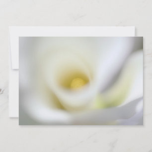 Plantillas de bautismo de invitación
