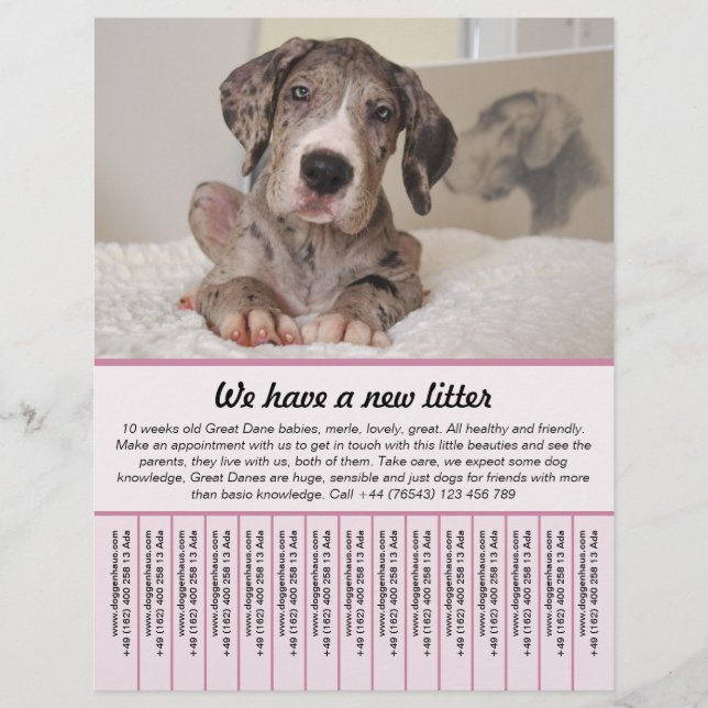 plantillas de folletos de cachorros en venta (Frente)