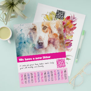plantillas de folletos para cachorros en venta