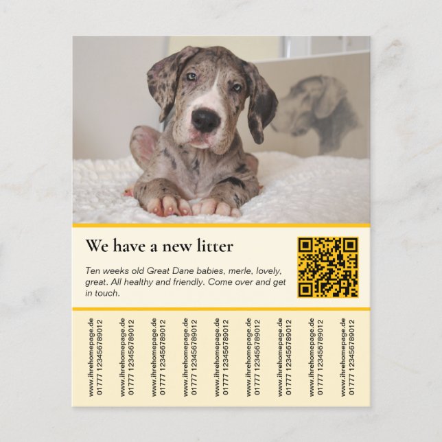 plantillas de folletos para cachorros en venta (Frente)