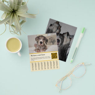 plantillas de folletos para cachorros en venta