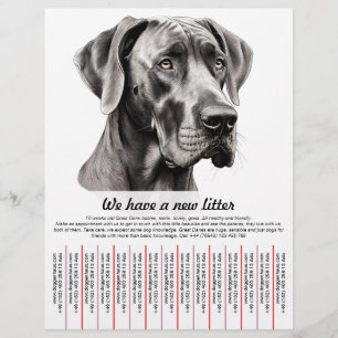 plantillas de folletos para cachorros en venta
