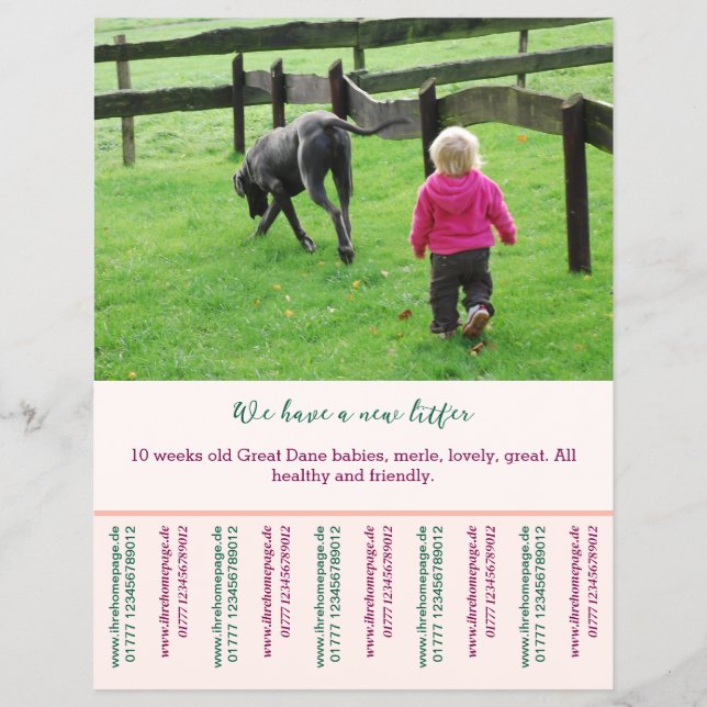 plantillas de volante de cachorro a la venta (Frente)