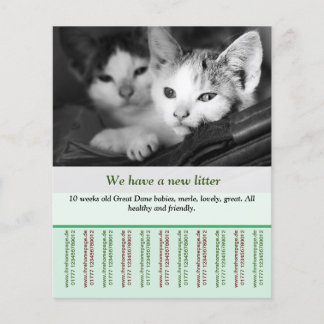 plantillas de volantes para gatitos en venta