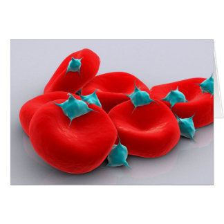 Plaquetas Con Glóbulos Rojos 1