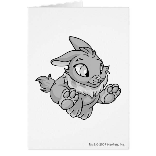Plata de Cybunny (Frente)