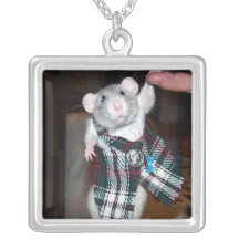 Collar del rubí de la rata del mascota