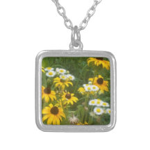 La pradera de Iowa florece el collar - por la