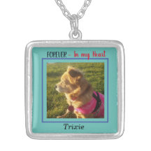 personalizable conmemorativo RIP collar de mascota