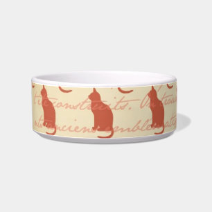 Plato de comida para gato