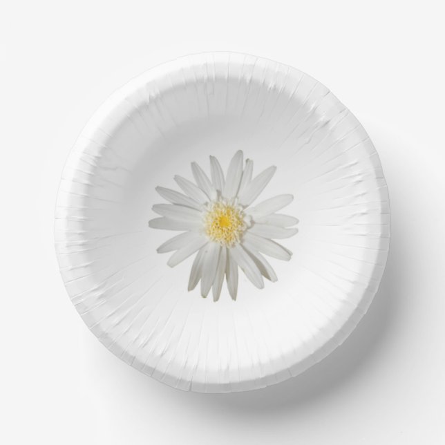 plato de papel (Anverso)