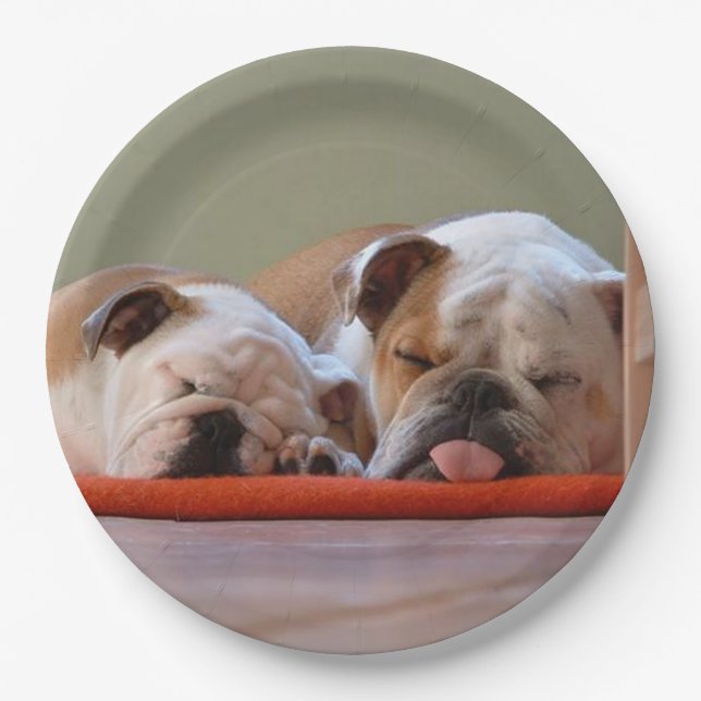 Plato De Papel 2 el dormir bulldogs.png (Anverso)