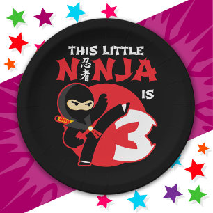 Plato De Papel 3.ᵉʳ Cumpleaños Niña De 3 Años Fiesta Ninja 3