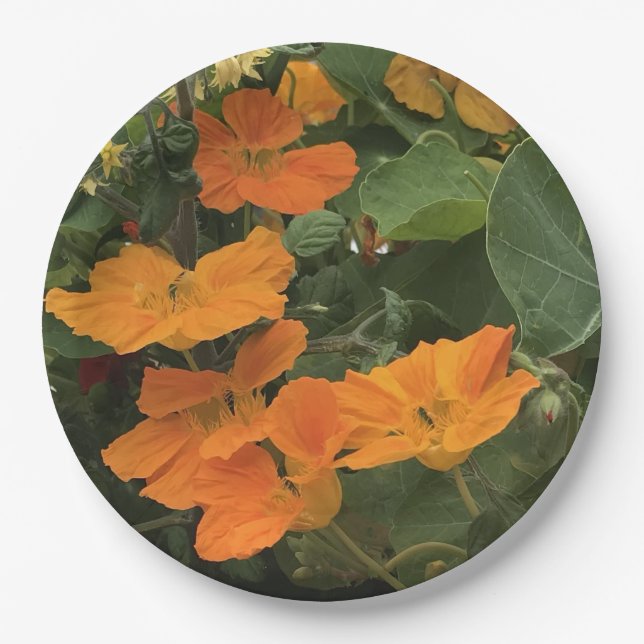 Plato De Papel 40.º Aniversario Boda Alternativa de Nasturtium (Anverso)