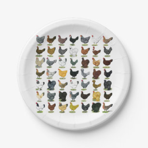 Plato De Papel 49 gallinas del pollo