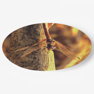 Plato De Papel 534424932Elegante Red Darter Dragonfly Insect Art