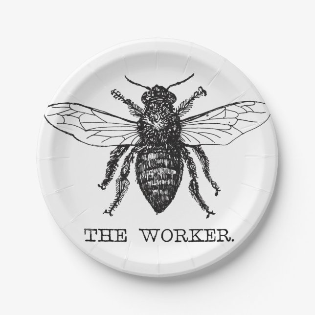 Plato De Papel Abeja Obrera Miel Abejorro Negro (Anverso)