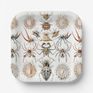 Plato De Papel Academia Oscura Haeckel Arte Vintage Simetría Arañ