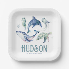 Plato De Papel Acuarela bajo placas de papel marino