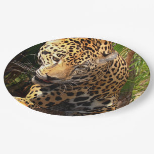 Plato De Papel Adolescente jaguar