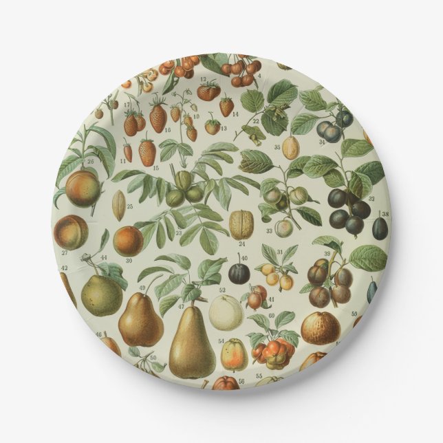 Plato De Papel Adolphe Millot - Frutas (Anverso)