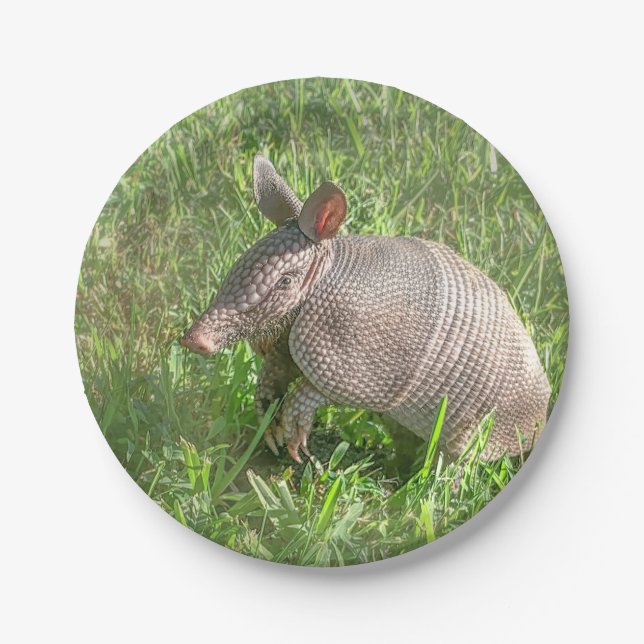 Plato De Papel Adorable Baby Armadillo (Anverso)
