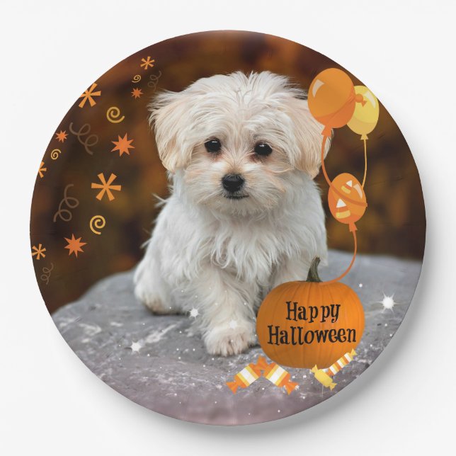 Plato De Papel Adorable cachorro maltés celebra Halloween (Anverso)