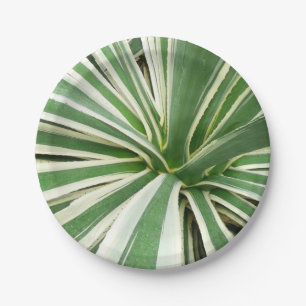 Plato De Papel Agave Plant Green y White Strike