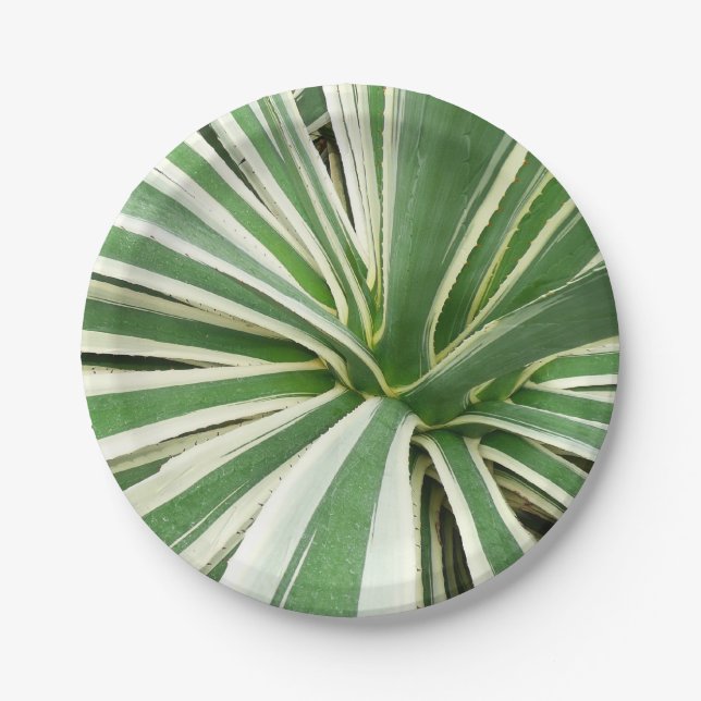 Plato De Papel Agave Plant Green y White Strike (Anverso)