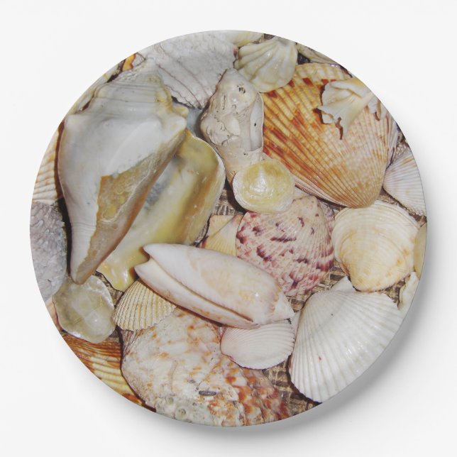 Plato De Papel Aguas marinas (Anverso)