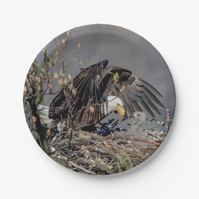 Plato De Papel Águila calva con su bebé (Anverso)