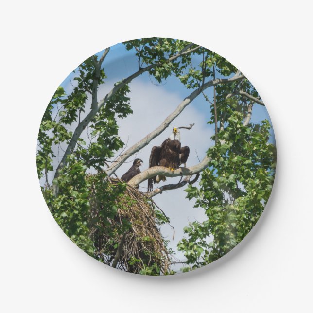 Plato De Papel Águilas calientes (Anverso)