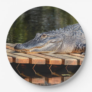 Plato De Papel Alligador en el Parque Estatal Homosassa Springs