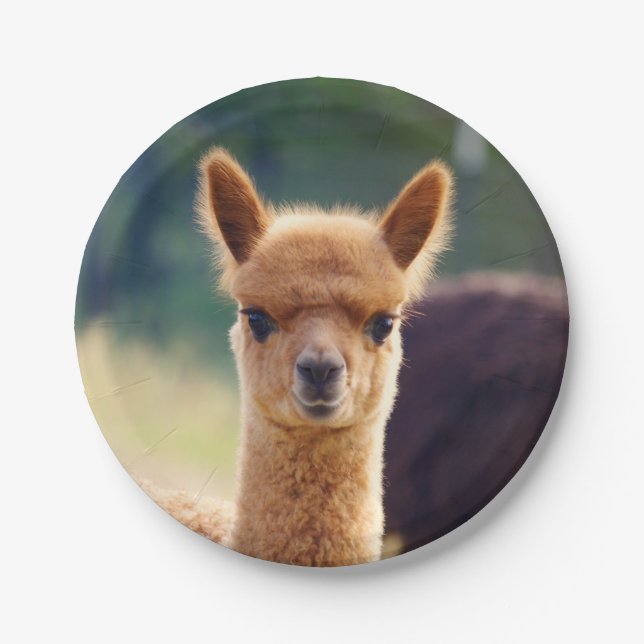 Plato De Papel Alpaca del bebé placa de papel de 7 pulgadas (Anverso)