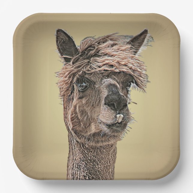 Plato De Papel Alpaca Hello - Placa de papel (Anverso)