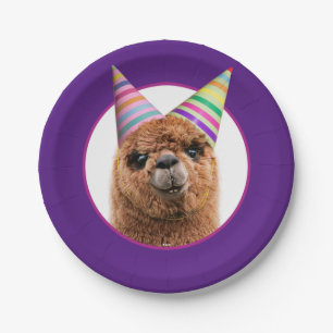 Plato De Papel Alpaca vistiendo Gorras Fiestas