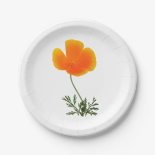 Plato De Papel amapola anaranjada