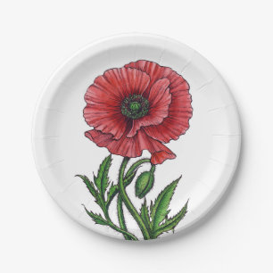 Plato De Papel Amapola roja, acuarela y tinta