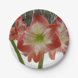 Plato De Papel Amaryllis en floral de invierno en la nieve roja f