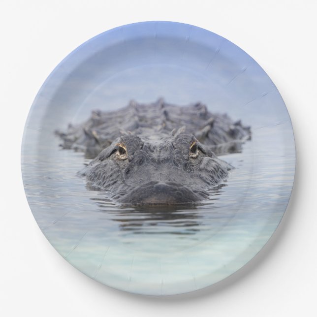 Plato De Papel American Alligator – Lake Apopka Wildlife Drive (Anverso)