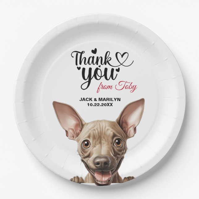 Plato De Papel American Hairless Terrier (Anverso)