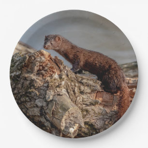 Plato De Papel American Mink