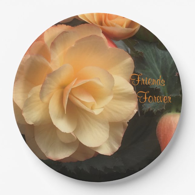 Plato De Papel Amigos para siempre (Anverso)