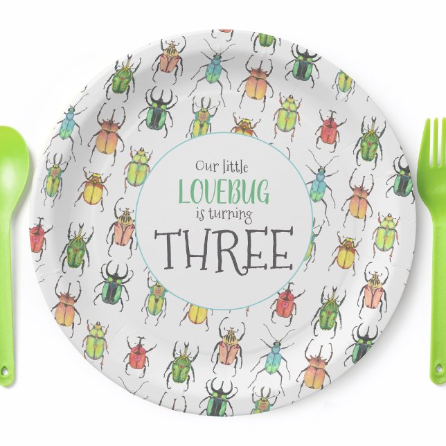 Plato De Papel Amo Bugs Beetles Niños Cumpleaños (Personalized Love Bug Party Plates)