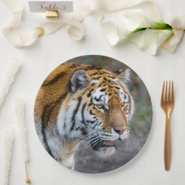 Plato De Papel Amur tiger