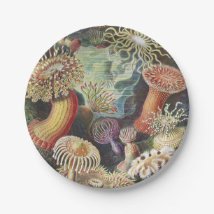Plato De Papel Anemones marinos, Actiniae Seanemonen Ernst Haecke